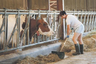 Agricultrices : on est encore loin de la parité