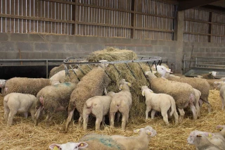 Une nouvelle vente de caissettes pour le Legta de Challuy