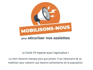 Lancement de la page web « des bras pour ton assiette »
