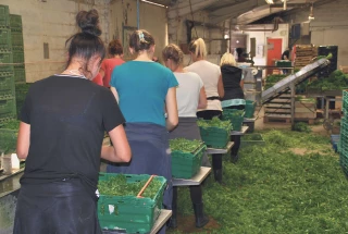 Les cultures n’attendront pas