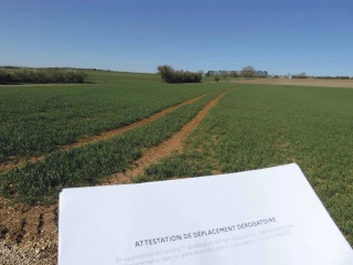 S’organiser pour éviter le pire