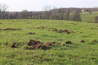 La problématique des dégâts de gibier