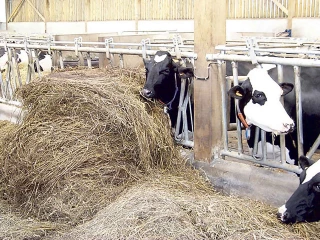Réduire sa production sans pénaliser son potentiel