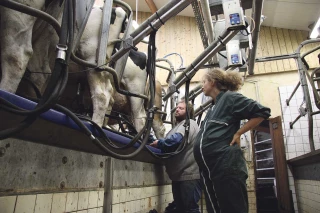 Indemnisations et interrogations en vue