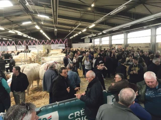 La fête du bœuf n’aura pas lieu