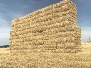 Anticiper dès que possible