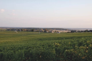 «Nous faisons face à une véritable incertitude»