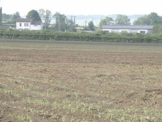 Une formation pour comprendre le lien entre le sol et la plante