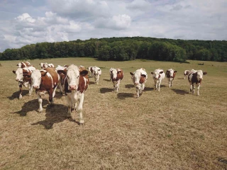 Une seule chose est certaine: l’incertitude