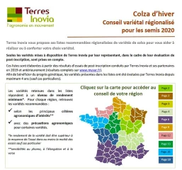 Un conseil variétal colza adapté à son territoire