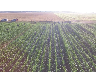 L’agriculture toujours mobilisée