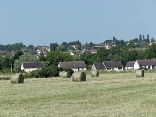De la bonne qualité, malgré une quantité hétérogène