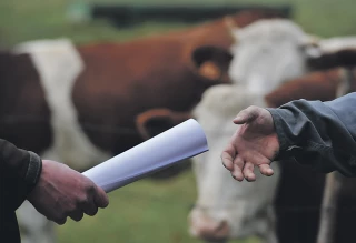 Faciliter le renouvellement