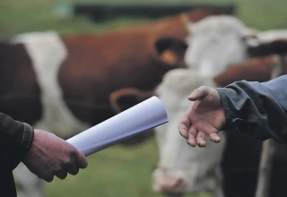 Faciliter le renouvellement