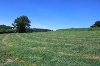 Les éleveurs du morvan de nouveau inquiets