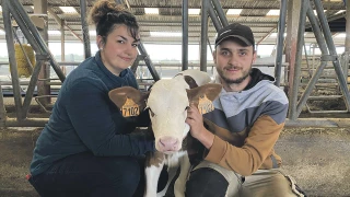 Une préférence pour le lait