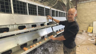 Des vaches laitières aux poules pondeuses