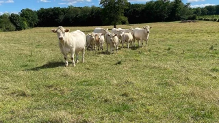 Des fermes et des hommes