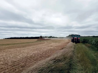 Petit tour d’horizon après trois semaines de récolte