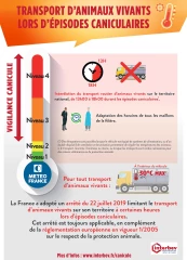 Interbev sensibilise la filière aux conditions caniculaires