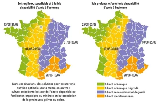 Assurer la germination rapide pour assurer son implantation