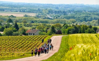 La Tour du Pouilly-Fumé fête ses 10 ans