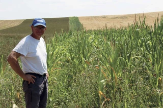 Un document pour améliorer la biodiversité
