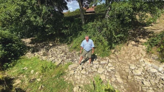 Un été dans les prés