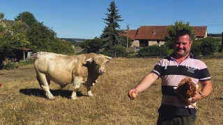 Une petite éclaircie