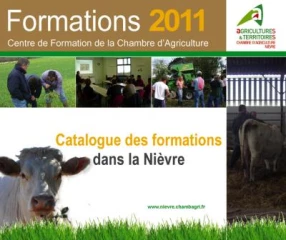 Le nouveau catalogue de formations est disponible