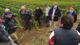 Vendanges terminées