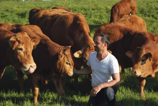 Le confort de la limousine