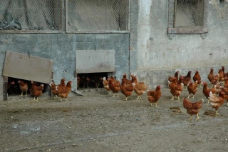 Une situation compliquée