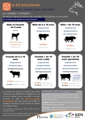 BVD : une maladie qui s’achète
