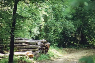 Un plan de relance bienvenu