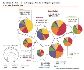 Le secteur s’est bien comporté en 2019