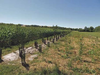 Appel à projets pour accompagner les agriculteurs dans le «Bas carbone»