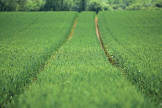Le plan de relance doit préparer l’avenir