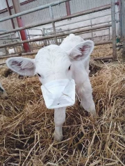Les agriculteurs et le coronavirus
