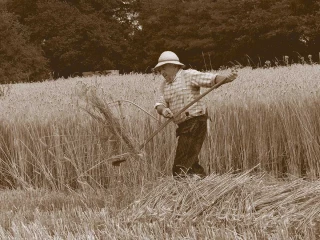 Ces agriculteurs venus d’ailleurs