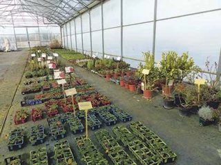 Se préparer avant les plantations