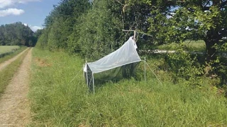 Reggae, pour une bonne mise en musique de la régulation biologique