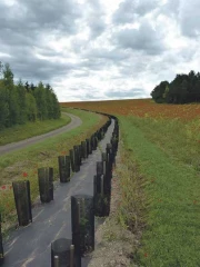 Cinq pistes de réflexion pour imaginer l’avenir