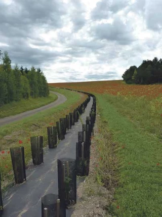 Cinq pistes de réflexion pour imaginer l’avenir