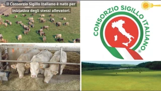 Une marque italienne qui se remarque