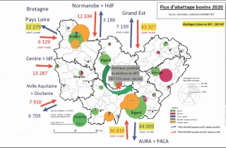 Vigilance nécessaire à tous les niveaux pour Interbev