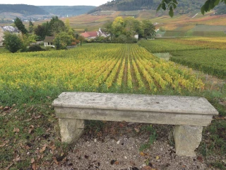 Allier une quête de rentabilité au plaisir du vin