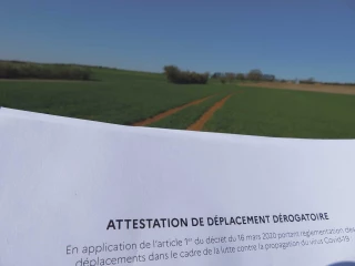 Confinement : c’était il y a un an déjà
