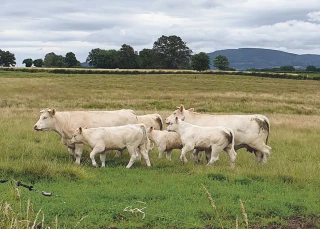 une situation très favorable !
