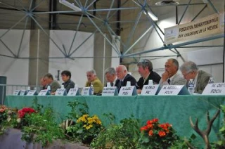 Des mesures pour limiter les dégâts des sangliers